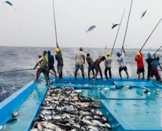 Alat Tangkap Ikan Nelayan Perairan Indonesia