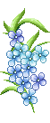 Gif de flor