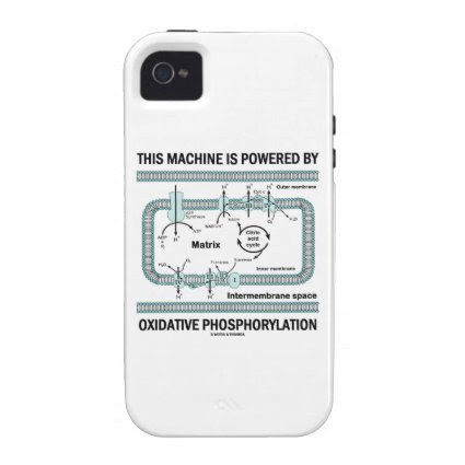This Machine Powered By Oxidative Phosphorylation iPhone 4/4S Cases