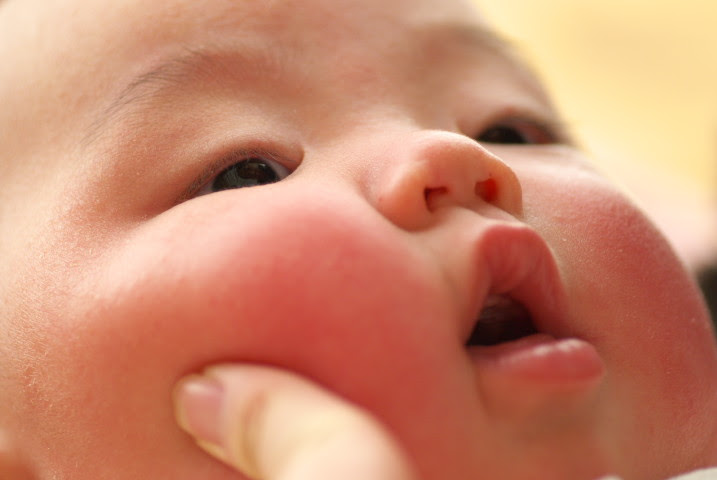 子 ぷにぷにされるがまま 食事処めもの更新履歴