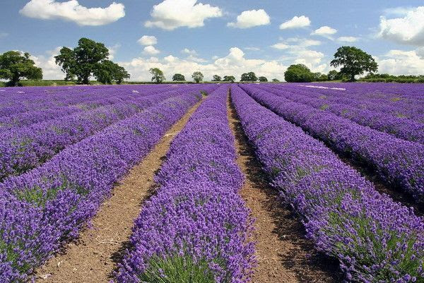 belles images paysages