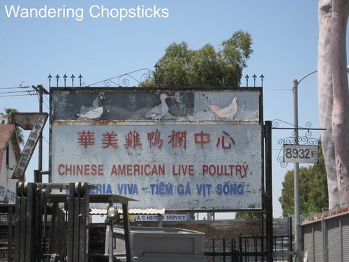 Chinese American Live Poultry 1