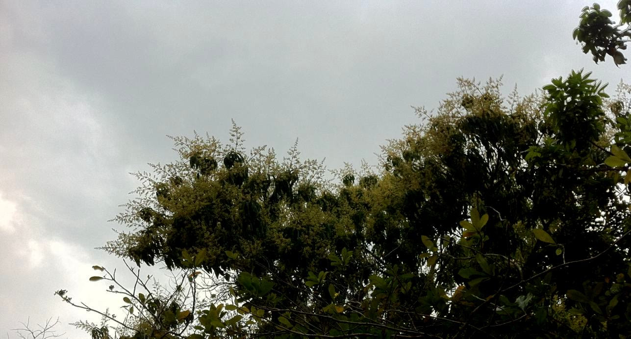 Cold Front