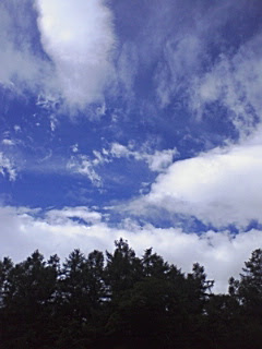 PA0_0210.jpg