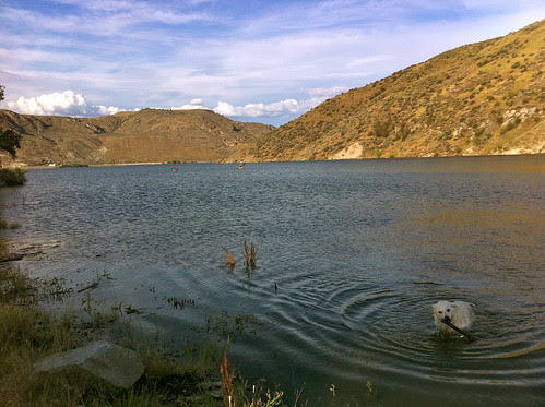 A full reservoir by teach.eagle