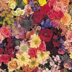 Wedding flowers las colinas
