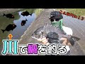 √1000以上 クロダイ 釣り方 ルアー 421273-クロダイ 釣��方 ルアー