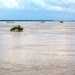 Don Sahong Dam, Laos, Cambodia, Irrawaddy Dolphins, Mekong River, WWF, Mekong River pollution, dam construction, Don Sahong Dam, river dolphins, animals driven to extinction