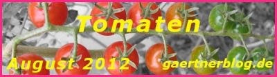 Garten-Koch-Event August 2012: Tomaten [31.08.2012]