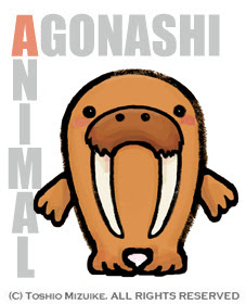 あごなしセイウチ Mitolier ミトリエ