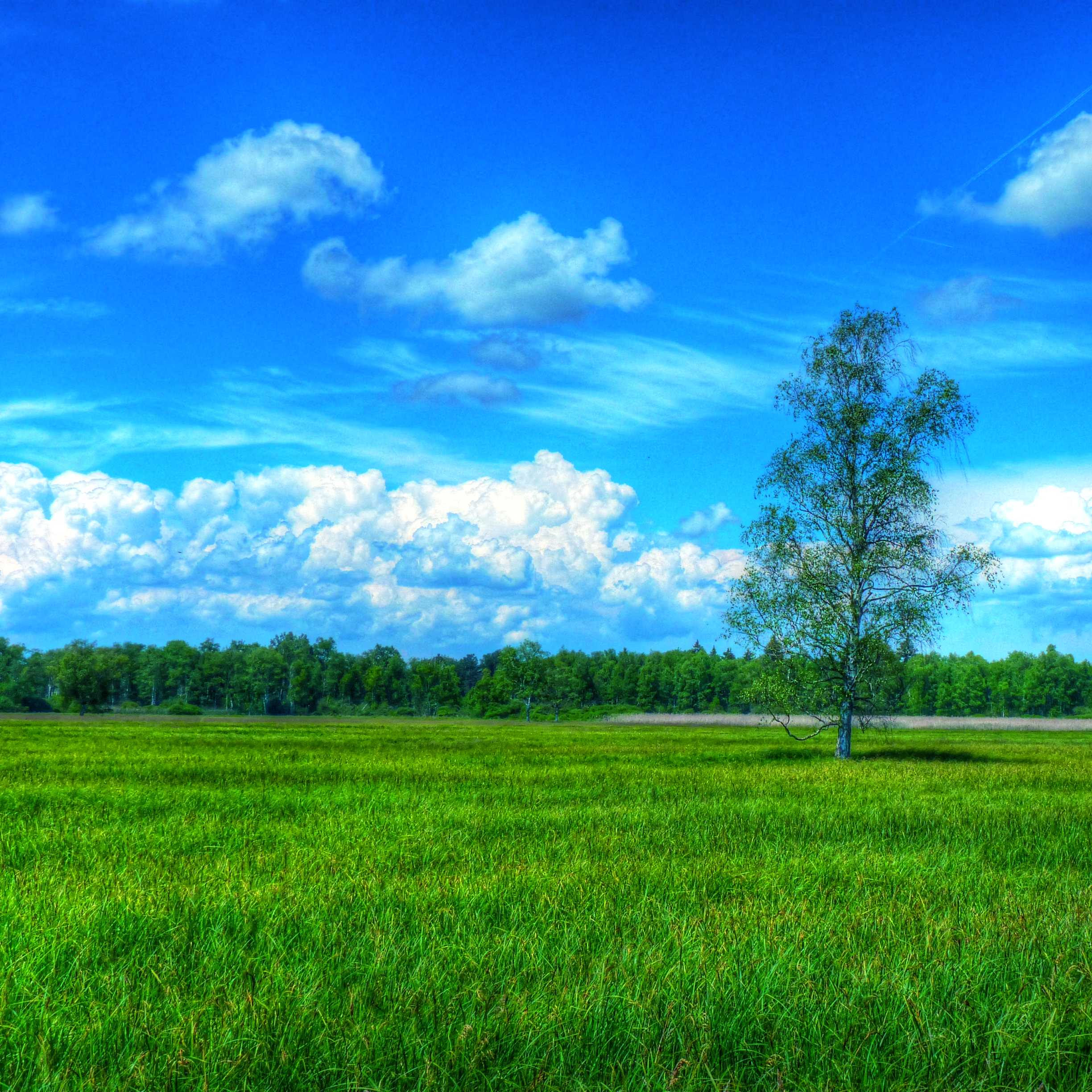 Landscape Patina Wallpaper Sc Ipad