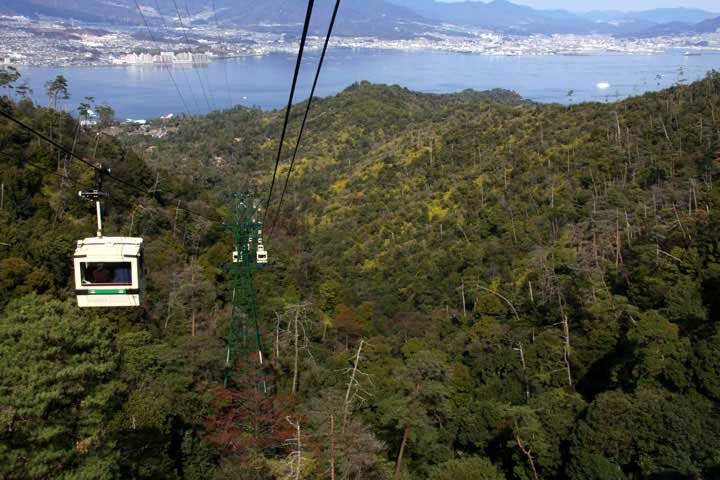 宮島 世界遺産 弥山原始林