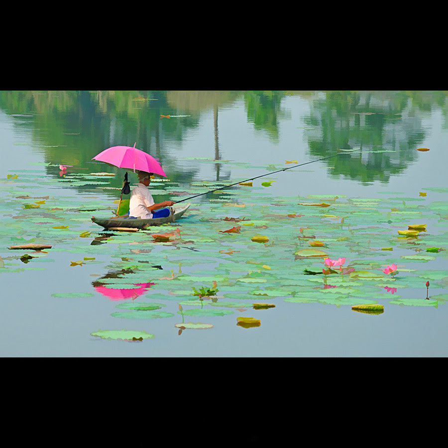 500px favs, rg443