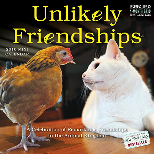 Unlikely Friendships Mini Wall Calendar 2016 Media Books
