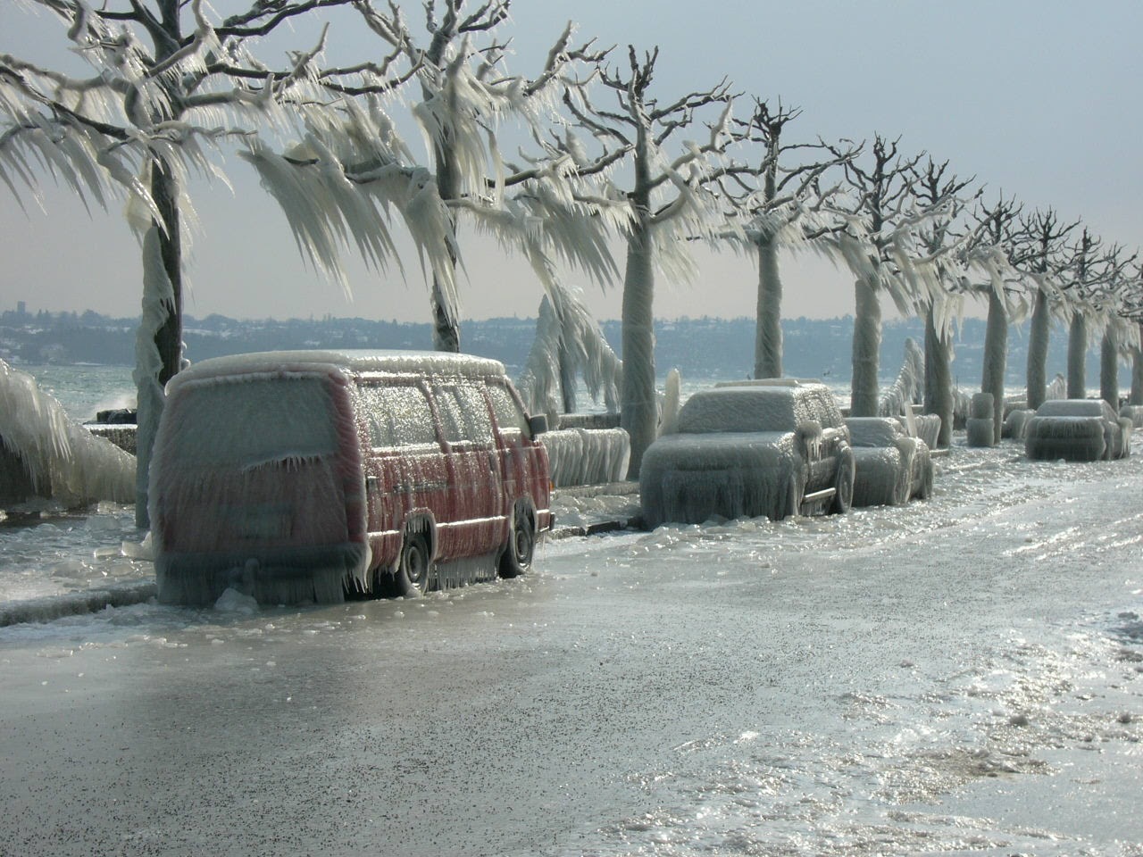 Frozen