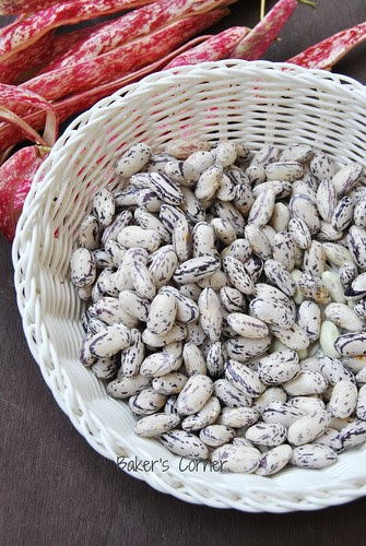 Fresh Borlotti Beans