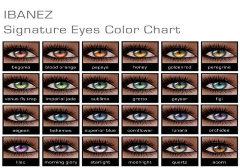  best 25 eye color charts ideas on pinterest baby eye color chart