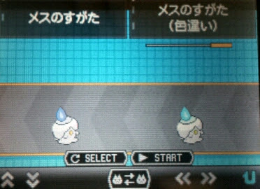 うまれました そらいろにっき