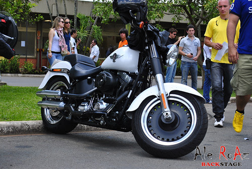 STANDING KM - LIMEIRA -19/11/2011