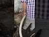 4 Lưu ý quan trọng khi thiết kế bể nước ngầm mà bạn cần biết