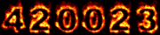 internet traffic statistics
