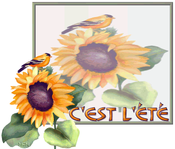 Citations Sur L Ete