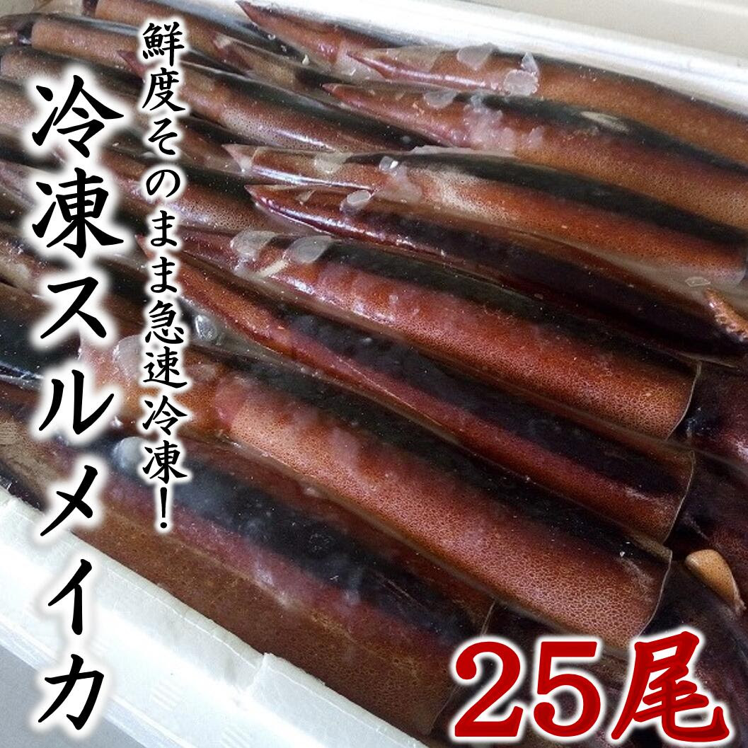 ふるさと納税 冷凍スルメイカ25尾入り 岩手県普代村鮮度そのまま急速冷凍 イカ