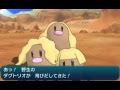 [最も共有された！ √] カ��コケコ厳選 250550-ポケモンサンムーン カプコケコ厳��