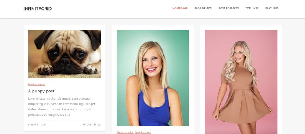 InfinityGrid---An-infinite-scrolling---personal-blogging-theme