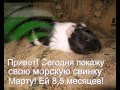 Видео Слайды с Мартой