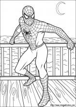 Disegni Di Spiderman Da Colorare