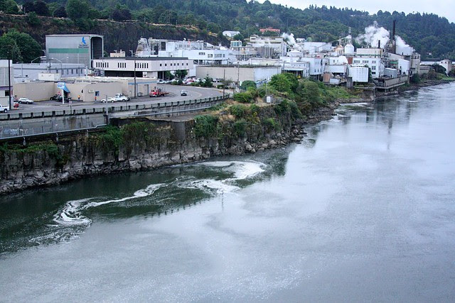 Oregon City from the bridge