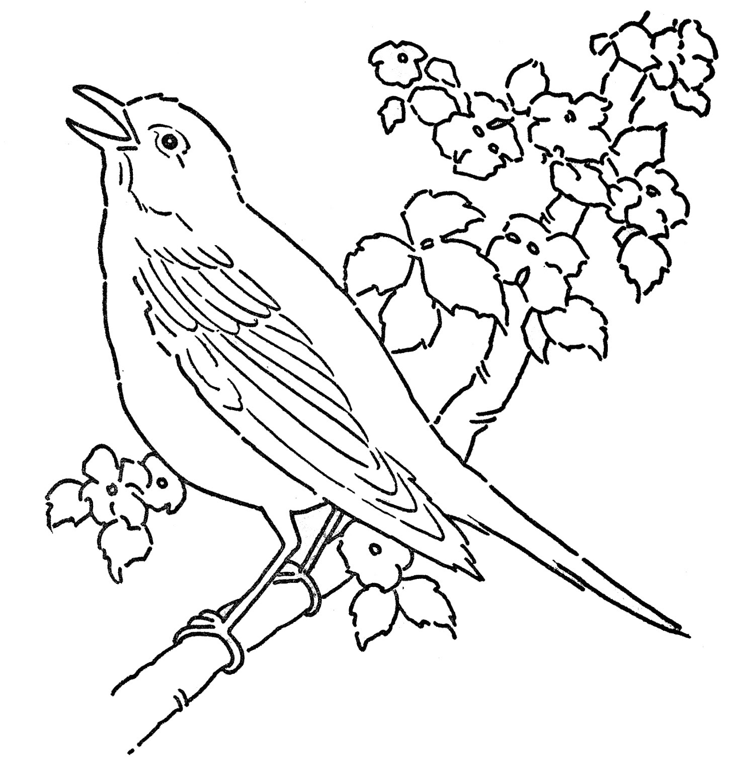 Bird coloring pages to download and print for free Bird coloring pages to download and print for free