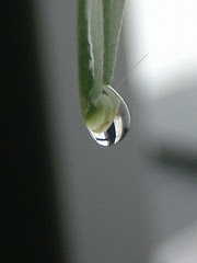 Droplet