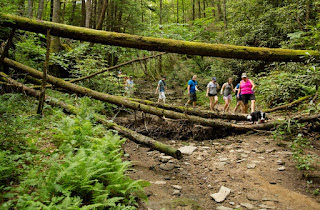 In a region ripe with nature's hidden splendor, hiking could be a way to improve the health of Central Appalachia-HEALTHYLIVE
