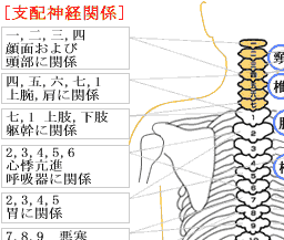 八戸長生館 八戸市の整体です 腰痛や膝痛 股関節などお任せ下さい