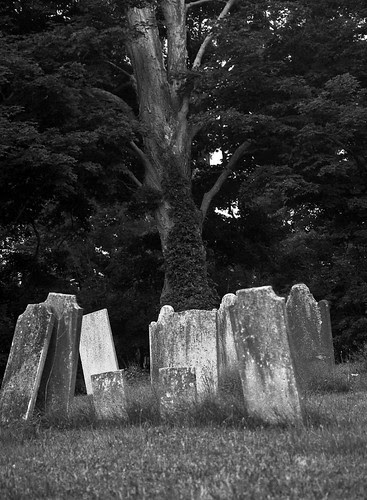 gathering of the stones