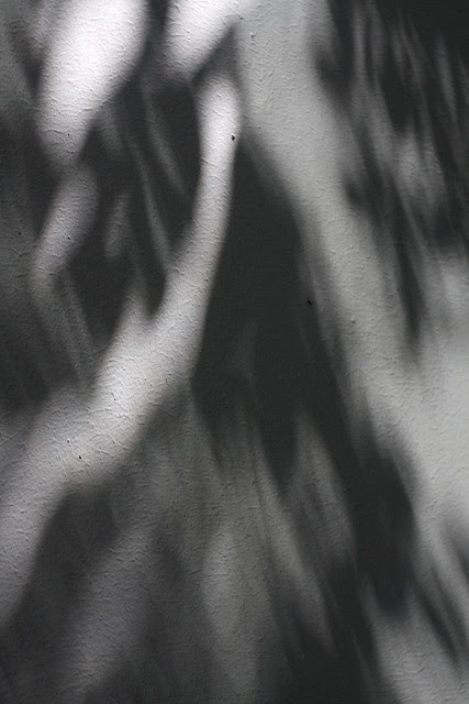 shadows, sw 2nd & clay