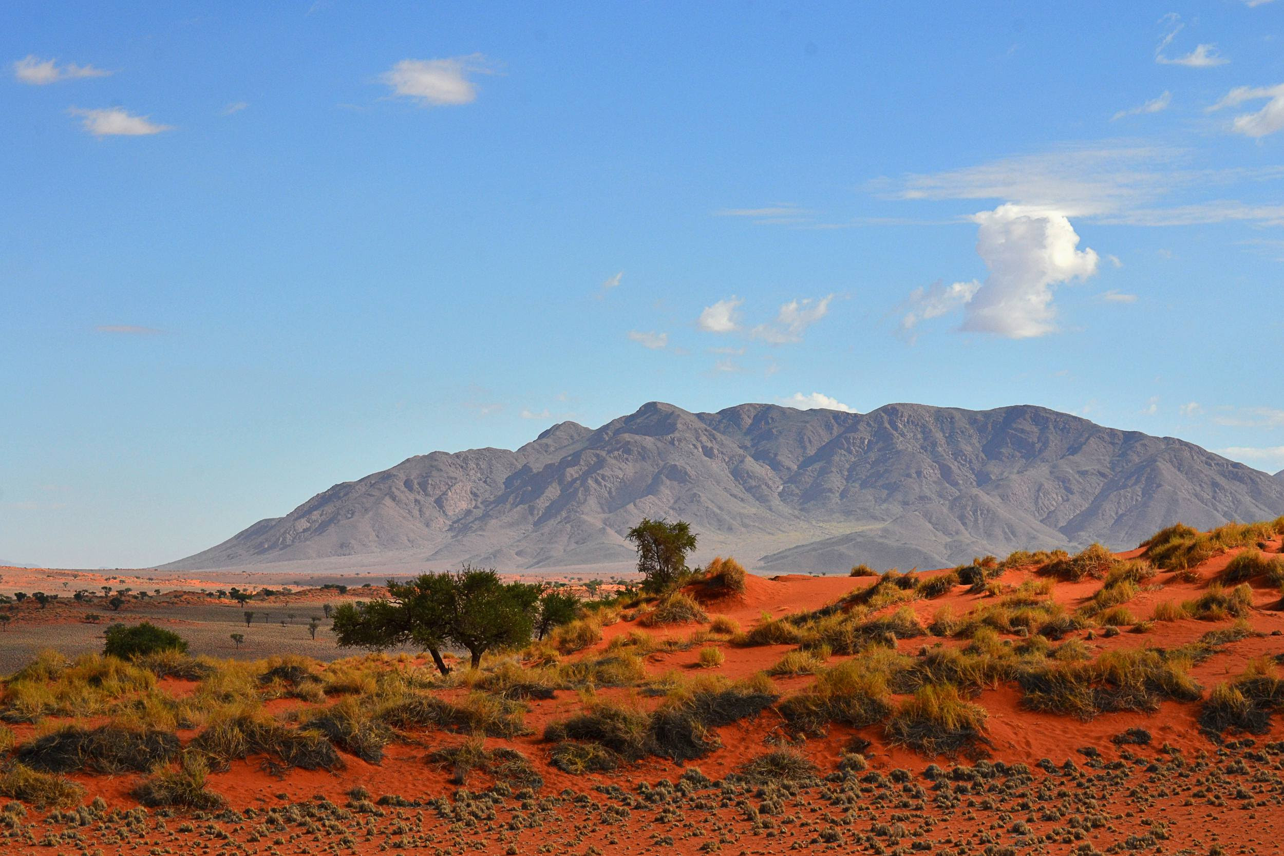 Namibia - Center for Global Education and Experience ...