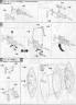 Bandai Master Grade 1/100 MG MS-14A Gelgoog Mass Production ver.2.0 English translation Construction Manual and Color Guide