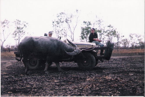 Adrian The Hillbilly Bull Catching Bloke Central Station