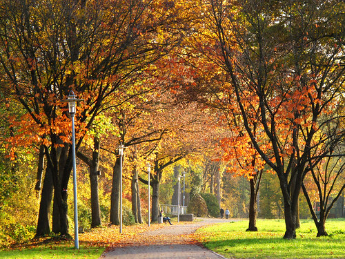 Autumn Walk in the Park