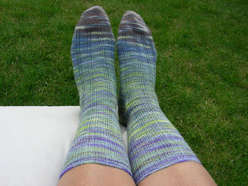 oak ribbed socks