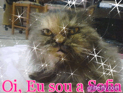 Glitter Photos
