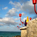 Torches at Compass Point