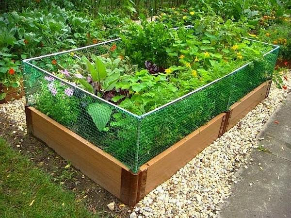 Raised Garden Bed Fence