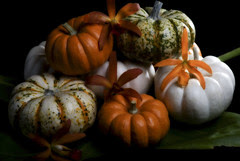 slightly early happy hallow'een