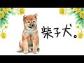 【印刷可能】 豆柴 イラスト 可愛い 276955