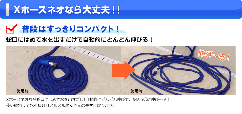 ホースの家庭教師