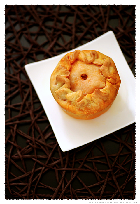 Chicken Curry Pies© by Haalo